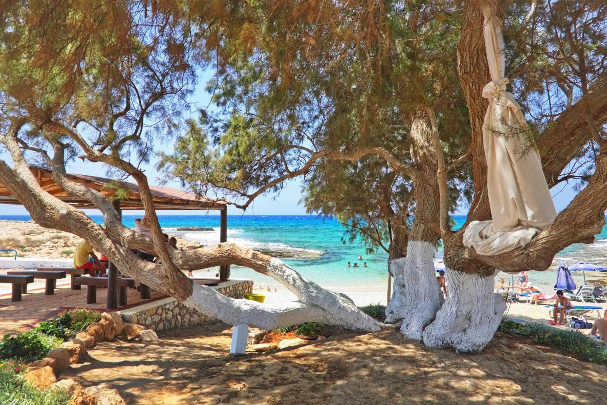 Sea Pearl Beachfront Villas - Breeze Ayia Napa Eksteriør billede